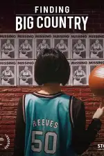 Поиск Большой Страны