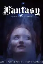 Постер фильма: Фантазия