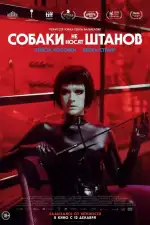 Постер фильма: Собаки не носят штанов
