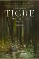 Постер фильма «Тигр»