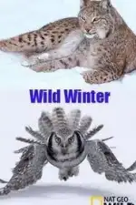 Зимний сезон