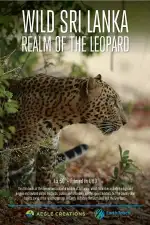 Дикая Шри-Ланка: царство леопардов
