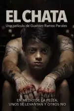 Постер фильма «Спарринг-партнер»
