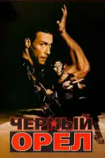 Черный орел