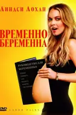 Постер фильма: Временно беременна