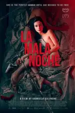 Постер фильма: Плохая ночь