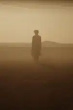 Постер фильма: Отголоски