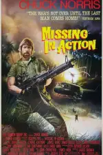 Без вести пропавшие