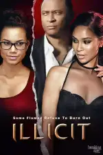 Постер фильма «Недозволенное»