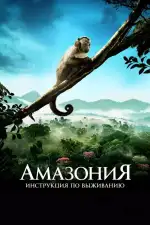 Амазония: Инструкция по выживанию