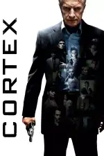 Кортекс