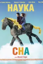 Постер фильма: Наука сна