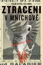 Постер фильма: Потерянные в Мюнхене