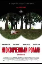 Неоконченный роман
