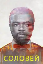 Постер фильма: Соловей