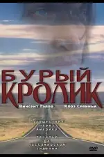 Постер фильма: Бурый кролик