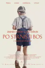 Постер фильма: Босиком по стерне