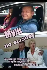Муж по вызову