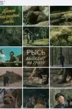 Постер фильма: Тропой бескорыстной любви
