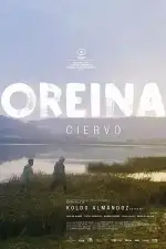 Постер фильма: Олень