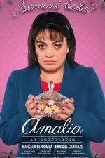 Постер фильма: Секретарша Амалия
