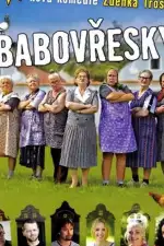 Постер фильма: Бабаёжки