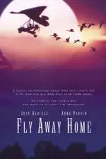 Летите домой