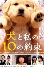 Постер фильма «10 обещаний моей собаке»