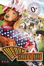 Шелли снова в деле