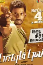 По прозвищу «Тигр»