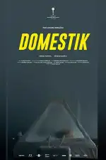 Постер фильма «Домашний режим»
