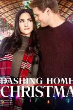 Успеть домой на Рождество