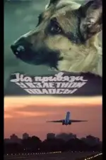 Постер фильма «На привязи у взлетной полосы»