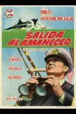 Операция «Катастрофа»