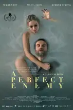 Идеальный враг