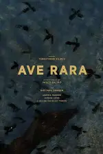 Постер фильма: Редкая птица