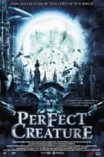 Идеальное создание