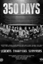 350 дней