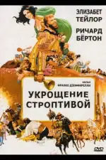 Постер фильма: Укрощение строптивой