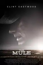 Наркокурьер