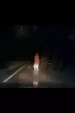 Регистратор