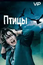 Птицы