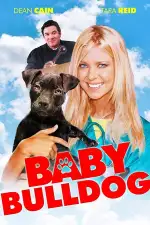 Малыш бульдог