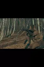 Тропа войны