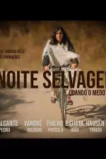 Безумная ночь