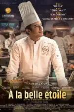 Кухня со звездами