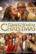 Домой на Рождество