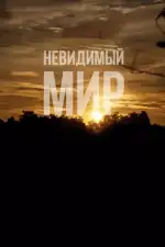 Постер фильма: Невидимый мир