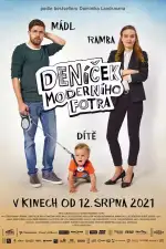 Постер фильма: Дневник современного отца