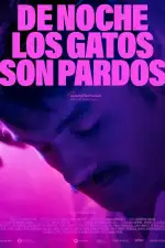 По ночам все кошки черные